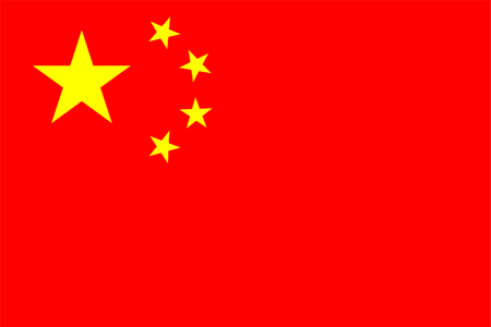 Panel de investigación online en China