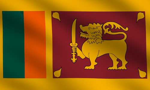 Panel online en Sri Lanka