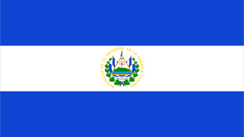 Panel de investigación de mercado online en El Salvador