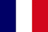 Panel de investigación de mercado en Francia