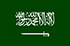 Panel de investigación de mercado en Arabia Saudita (KSA)