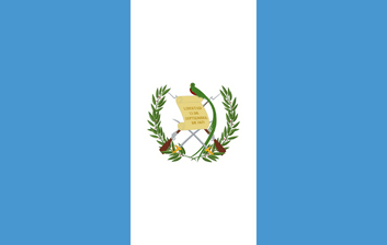 Panel de investigación de mercado online en Guatemala