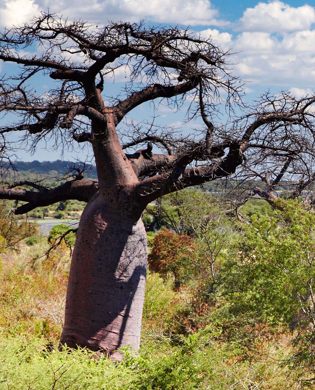 Botswana en un vistazo
