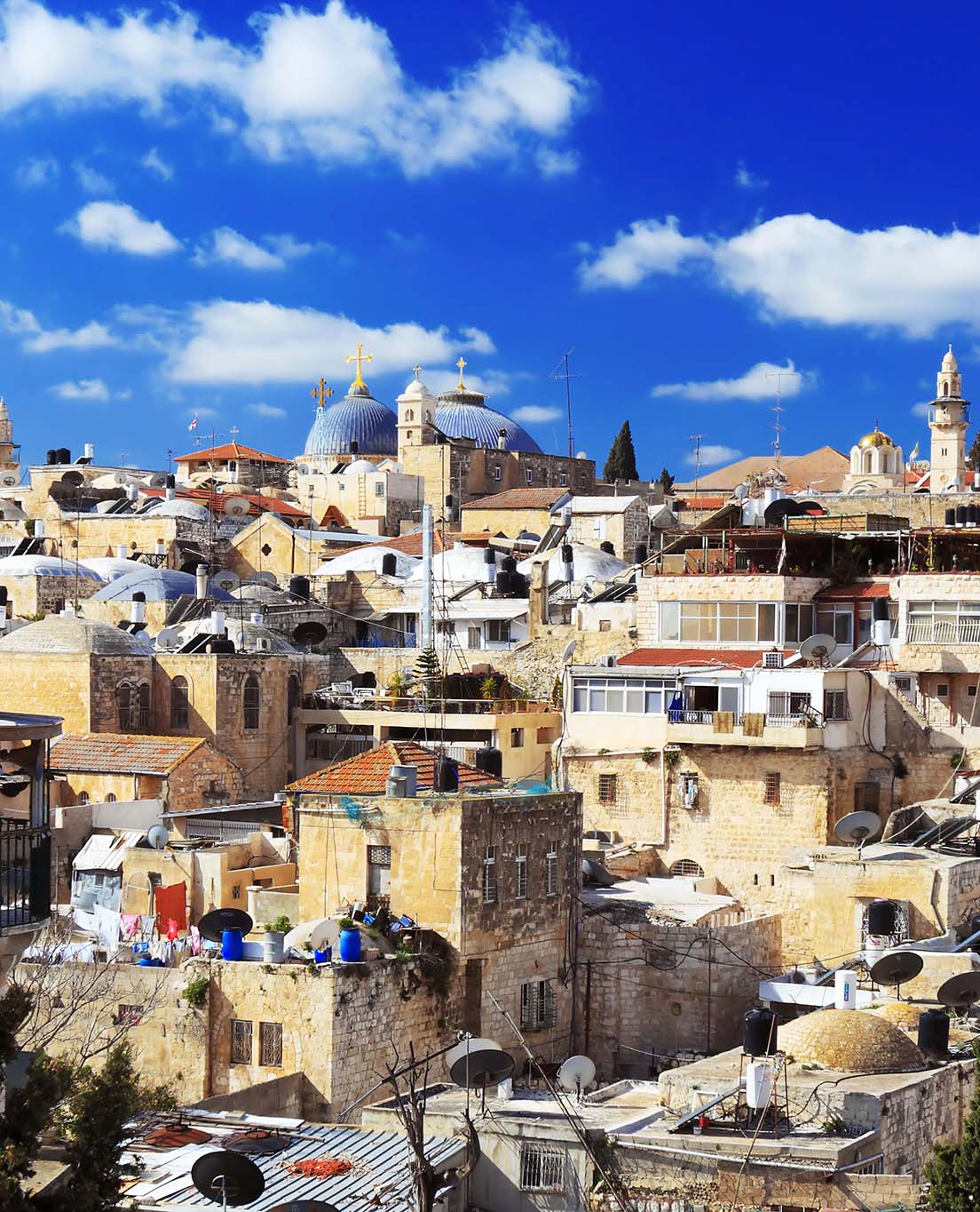 Palestina en un vistazo