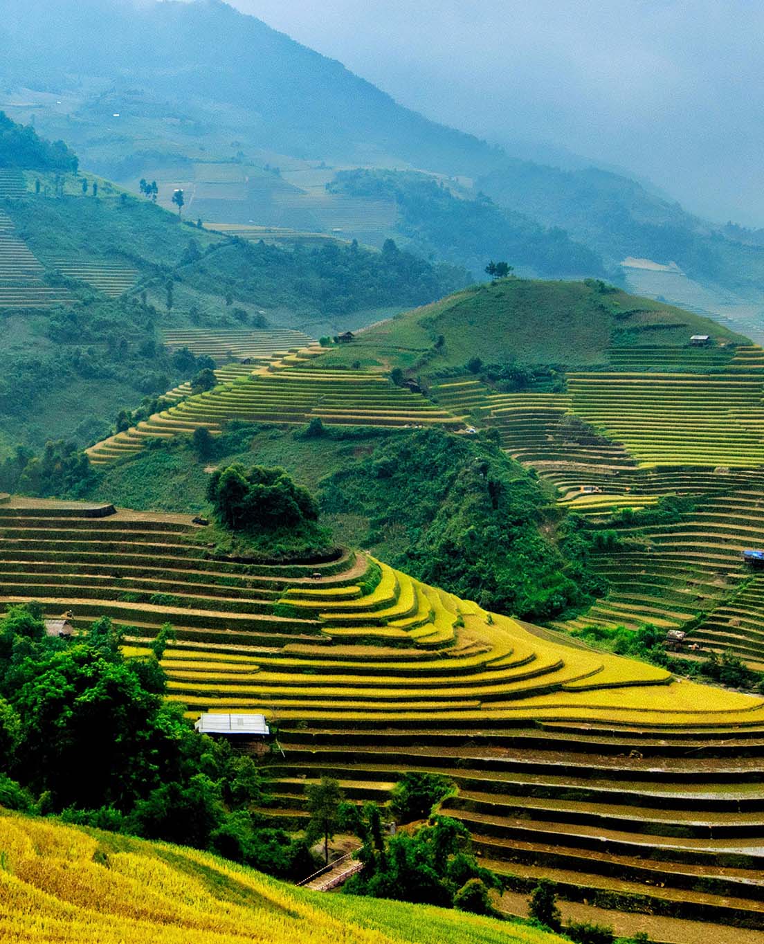 Vietnam en un vistazo