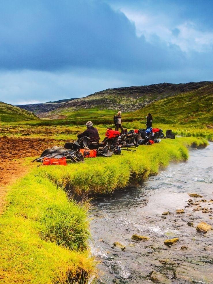Nuestro panel en línea en Islandia