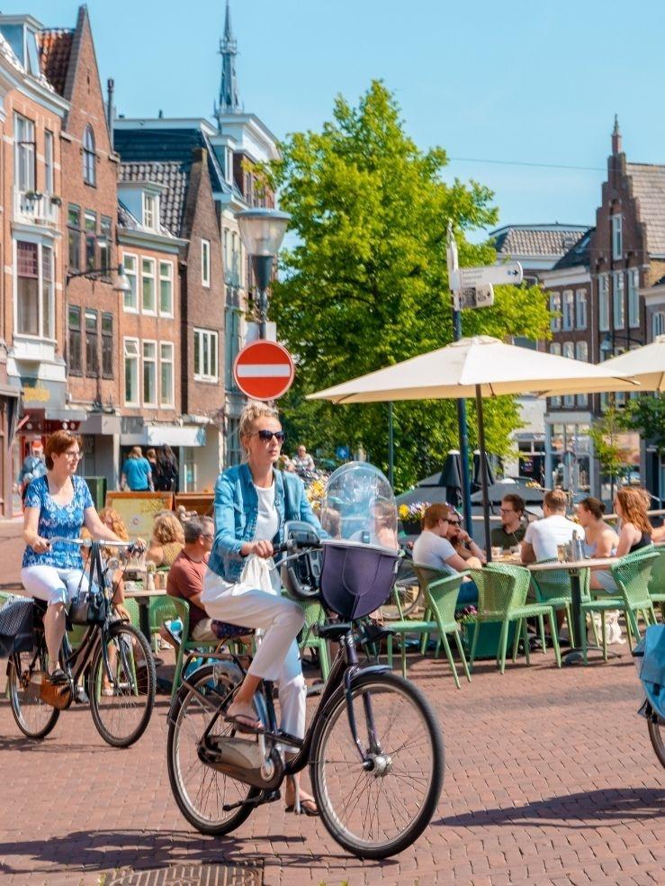 Nuestro panel en línea en Holanda
