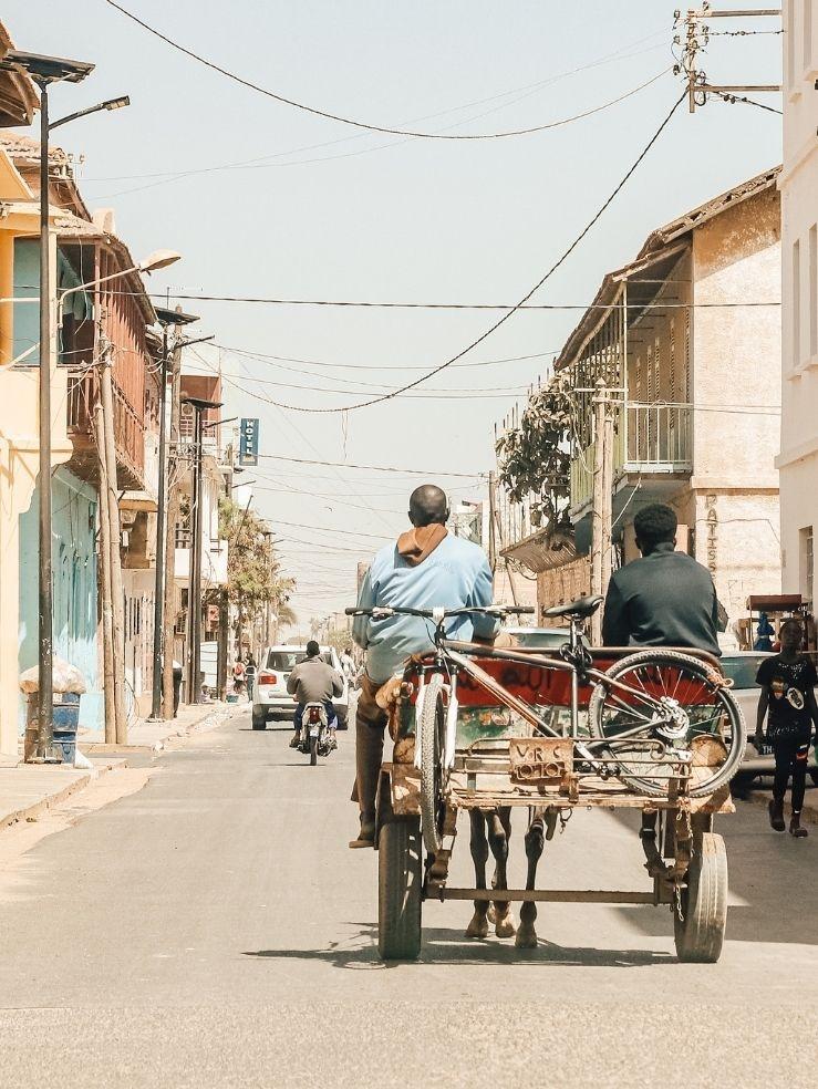 Nuestro panel en línea en Senegal