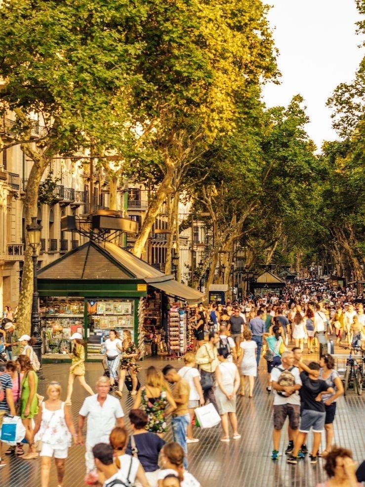 Nuestro panel en línea en España