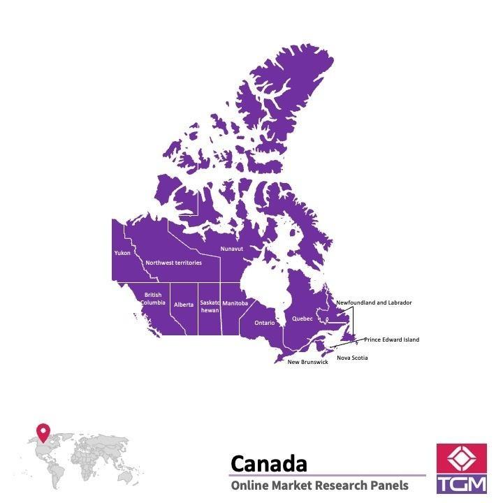 Panel online en Canadá |  Investigación de mercado y encuestas en Canadá