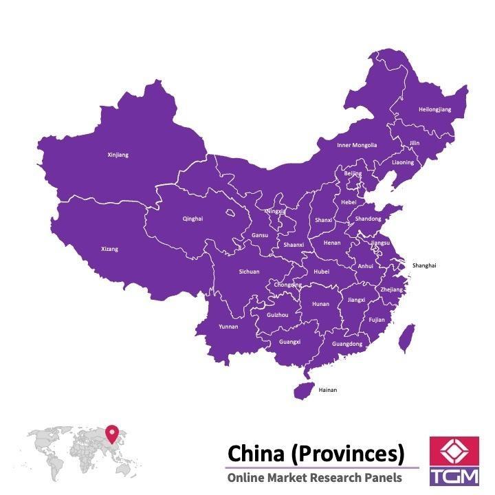 Panel online en China |  Investigación de mercado y encuestas en China