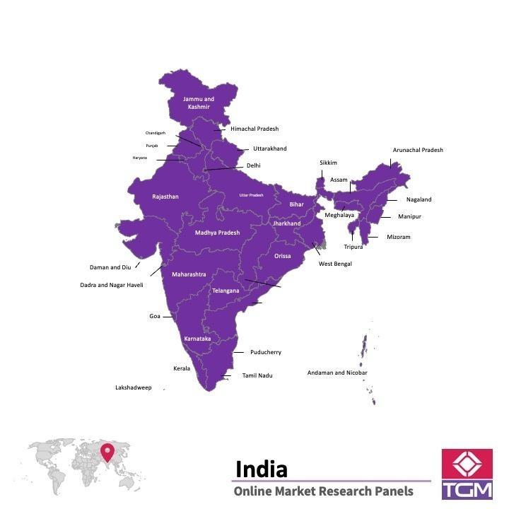 Panel online en India |  Investigación de mercado y encuestas en India