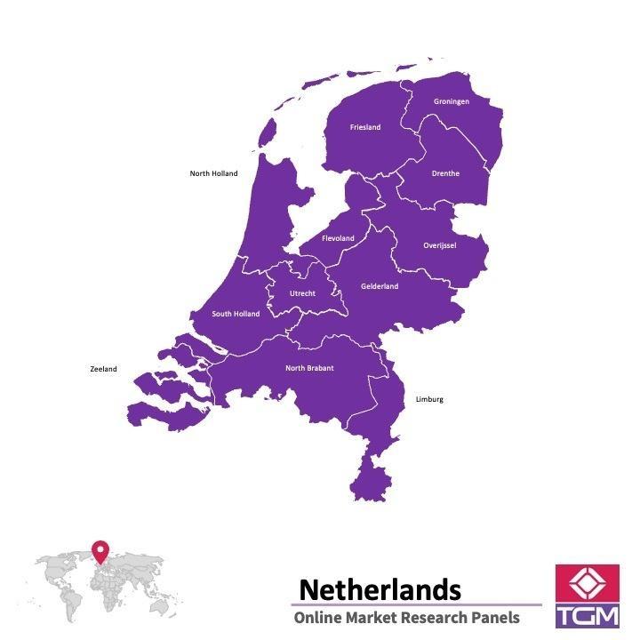 Panel online en Holanda |  Investigación de mercado y encuestas en Holanda
