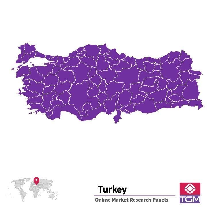 Panel online en Turquía |  Investigación de mercado y encuestas en Turquía
