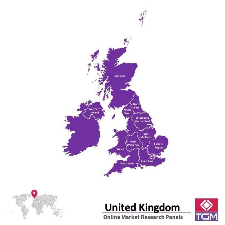 Panel online en Reino Unido (UK) |  Investigación de mercado y encuestas en Reino Unido (UK)