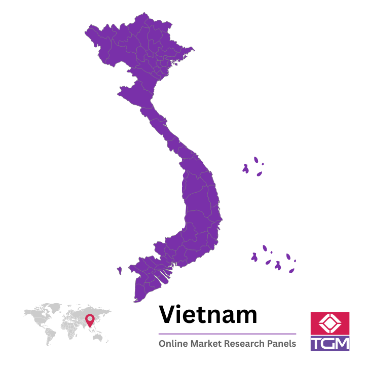 Panel online en Vietnam |  Investigación de mercado y encuestas en Vietnam